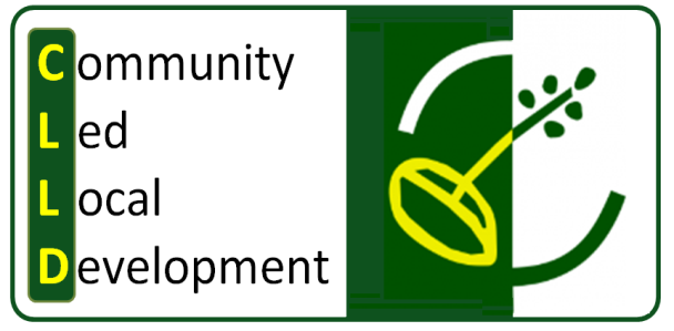 Vključevanje nevladnih organizacij v izvajanje lokalnega razvoja, ki ga vodi skupnost (CLLD)