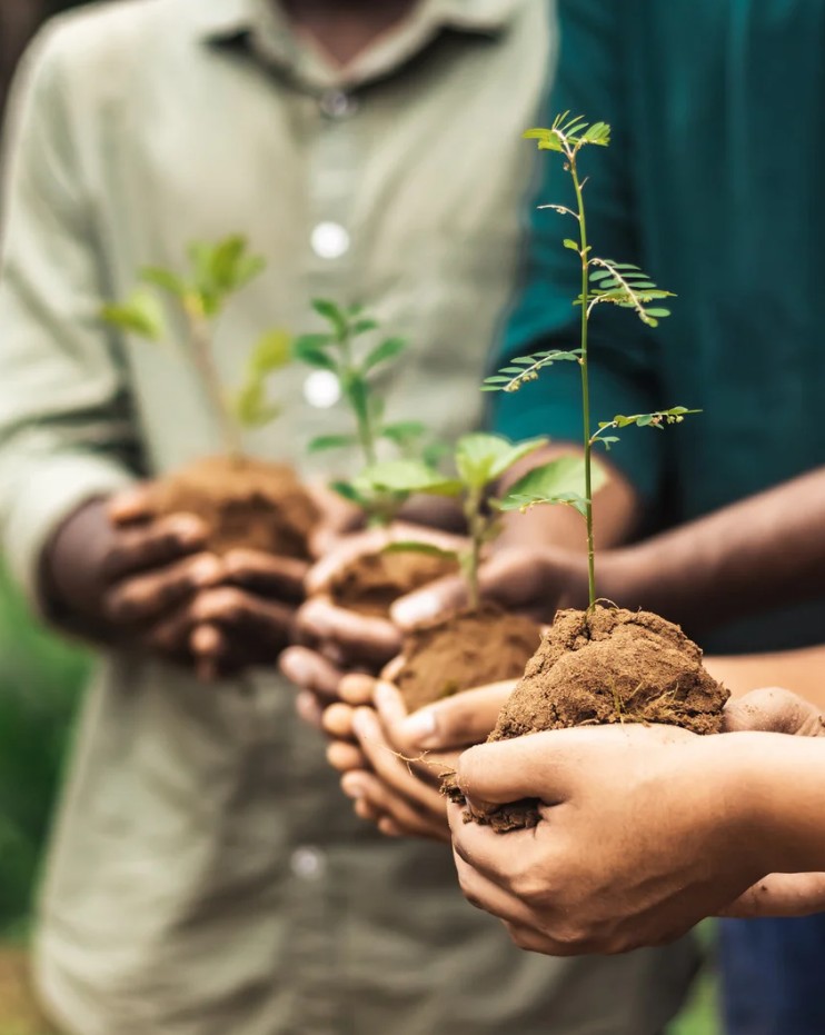 Dobrodelni tek: Zasadimo spremembo