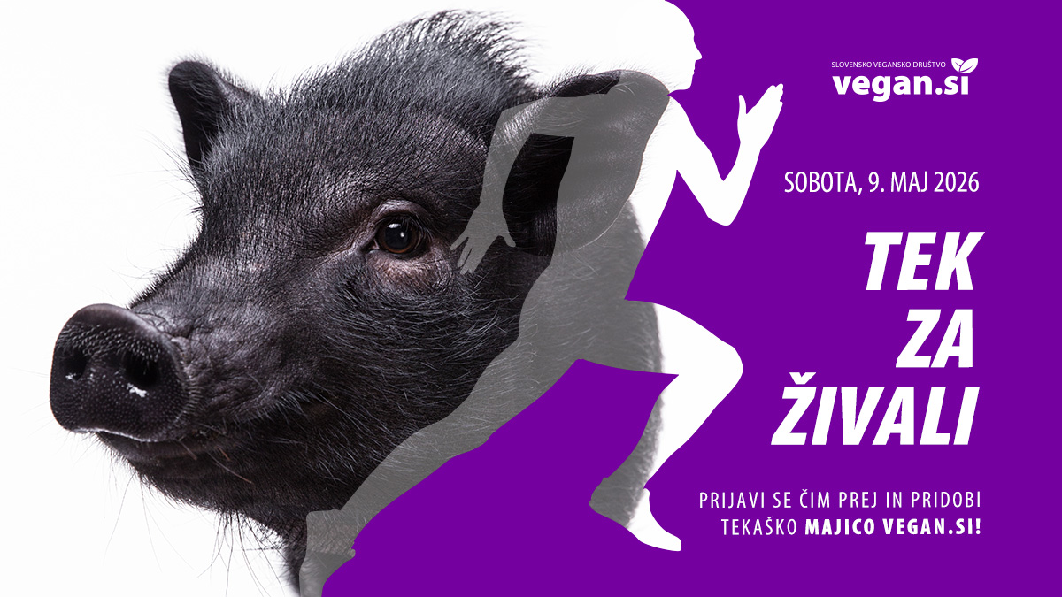Tek za živali 2026