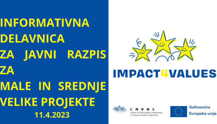 POSNETEK INFORMATIVNE DELAVNICE IMPACT4VALUES
