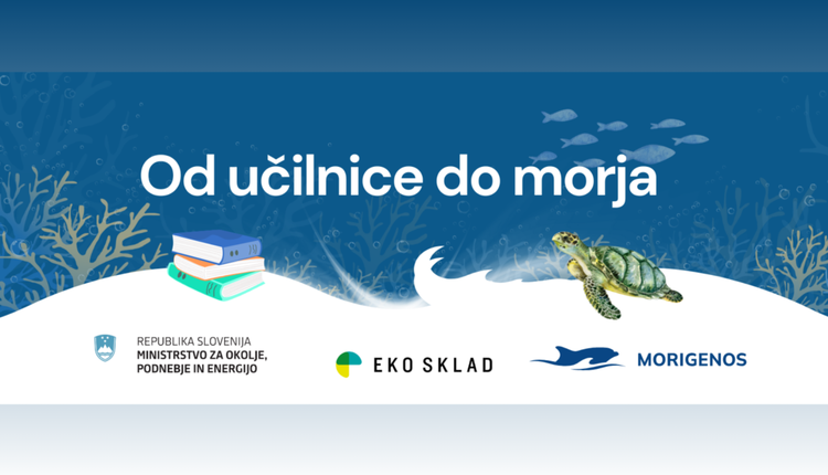 Od učilnice do morja: interaktivna e-učilnica, ki odpira vrata v svet morja