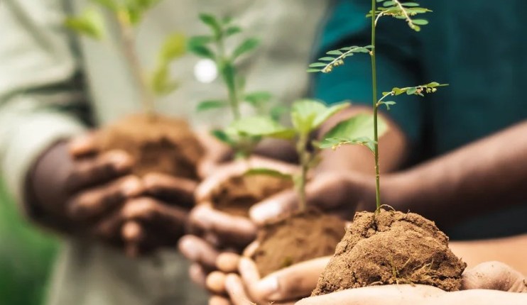 Dobrodelni tek: Zasadimo spremembo