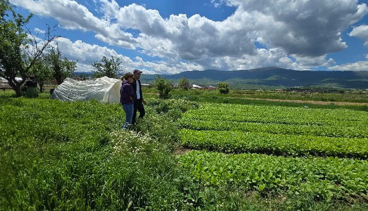 Ko podnebne spremembe poglabljajo neenakosti: pomen lokalnih rešitev za prihodnost podeželja
