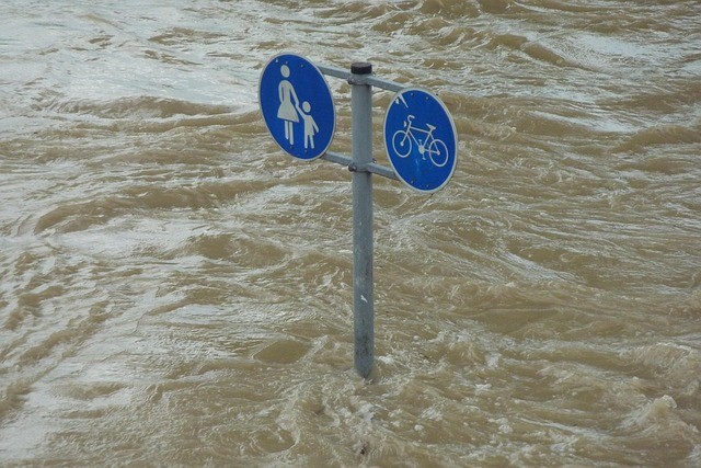 Posvet: Bodoče ujme, naša današnja skrb - Obnova narave in podnebno prilagajanje
