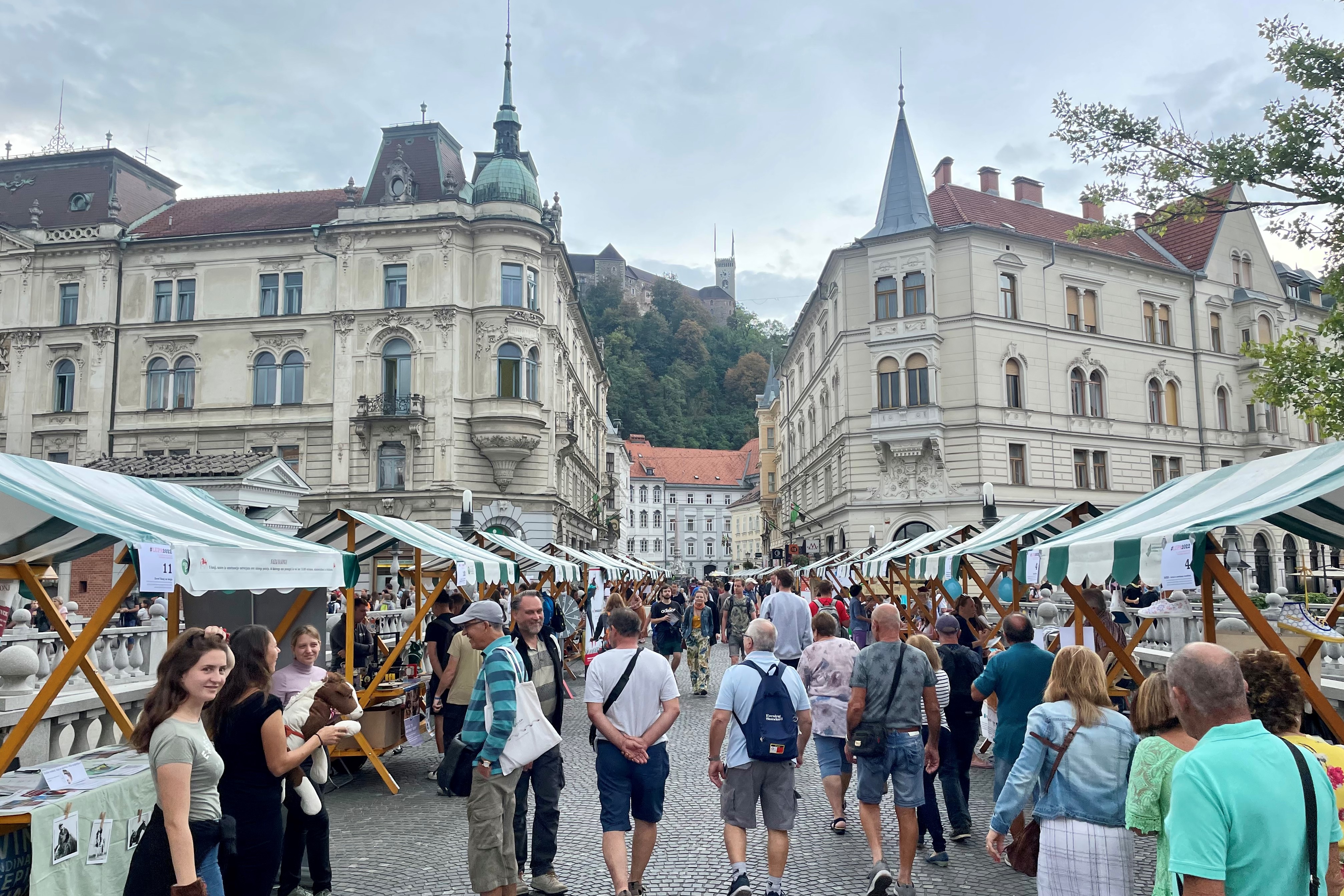 Bliža se Lupa, dan, ko praznujemo nevladnice in nevladniki